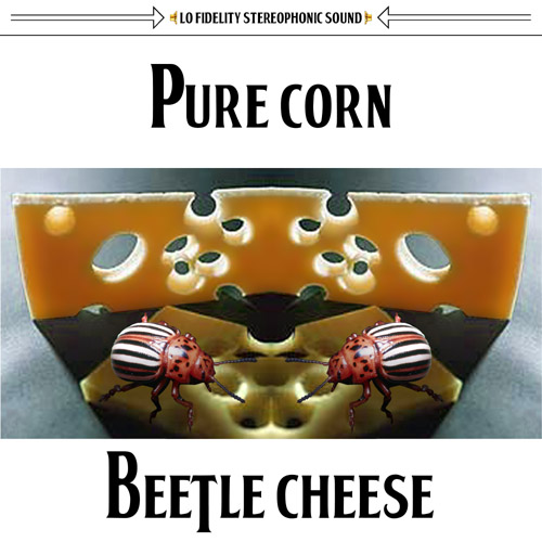 beetle cheese