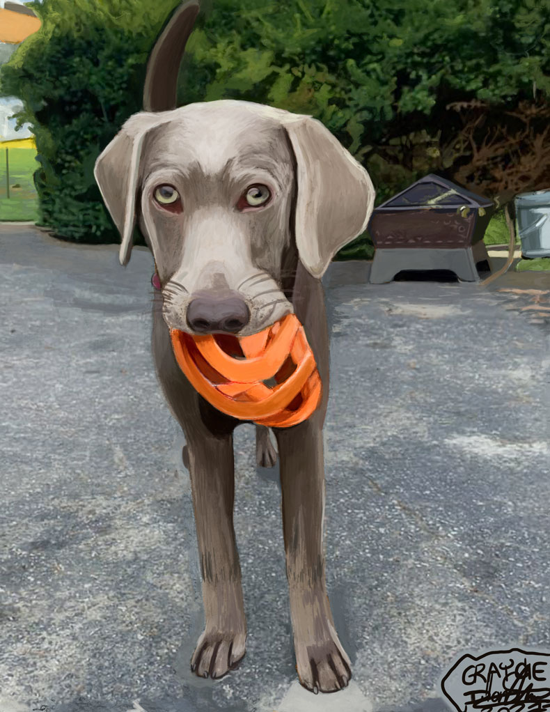 Graycie Portrait